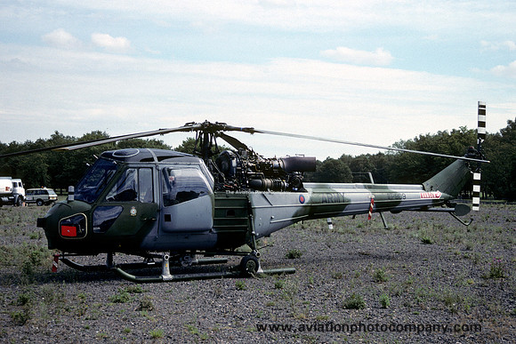 Army Air Corps Westland Scout AH.1 XP909 (1990)