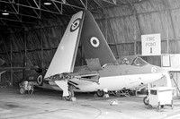 Sea Hawk (AWA/Hawker)