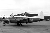 Devon (De Havilland)