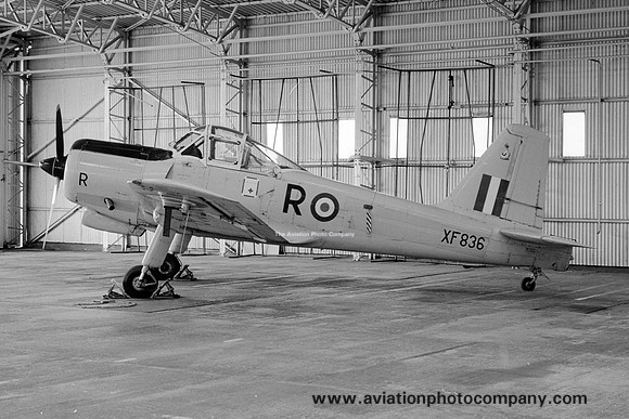 RAF Percival Provost T.1 XF836 (1976)