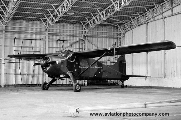 Army Air Corps DHC-2 Beaver AL.1 XP819 (1976)