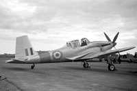 Balliol (Boulton Paul)
