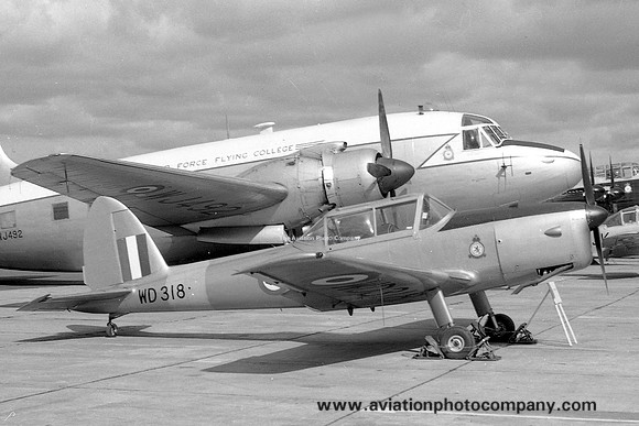 RAF Acklington Station Flight DHC-1 Chipmunk T.10 WD318 (1957)