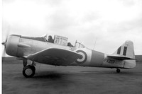 RAF 11 RFS Noorduyn AT-16-ND Harvard IIB FX257 (1950)