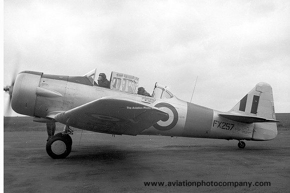RAF 11 RFS Noorduyn AT-16-ND Harvard IIB FX257 (1950)