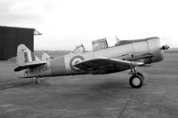 T-6 Texan/Harvard (North American)