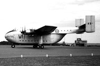 Beverley (Blackburn)