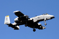USAF 52 FW 81 FS Fairchild A-10C Thunderbolt 82-0646/SP at Kleine Brogel (2012)