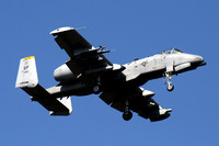 USAF 52 FW 81 FS Fairchild A-10C Thunderbolt 81-0965/SP at Kleine Brogel (2012)