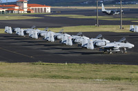 USAF Fairchild A-10C Thunderbolts at Lajes (2025)