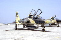 Spanish Air Force Esc 211 Northrop F-5B Freedom Fighter AE.9-01/211-01 (1987)