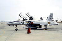 Spanish Air Force Ala 73 Northrop F-5B Freedom Fighter AE.9-022/73-22 (1987)