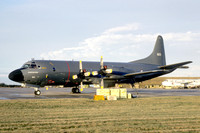 P-3 Orion (Lockheed)