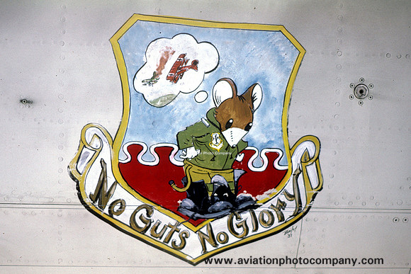 USAF 466 TFS badge (1981)