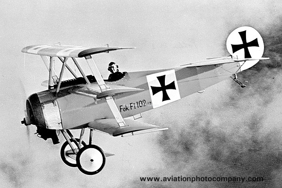 German Air Force Fokker Dr.I 102/17