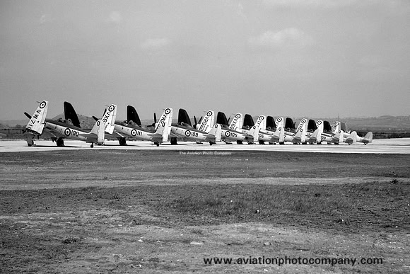 Royal Navy 802 Squadron Hawker Sea Fury FB.10 Lineup - lead aircraft VW711 (1951)