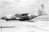 C-130 Hercules (Lockheed)