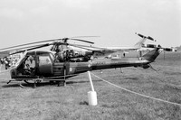 Army Air Corps 666 Squadron Westland Scout AH.1 XR628/B (1976)
