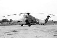 Wessex (Westland Helicopters)