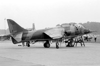 RAF 4 Squadron Hawker Siddeley Harrier GR.3 XV809/J (1976)