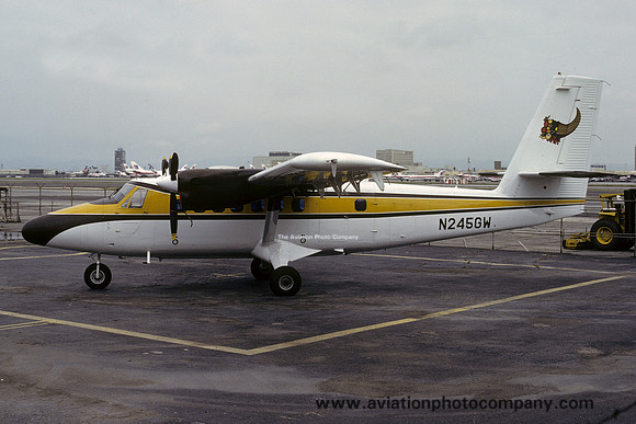 DHC-6-200 Twin Otter N245GW (1979)