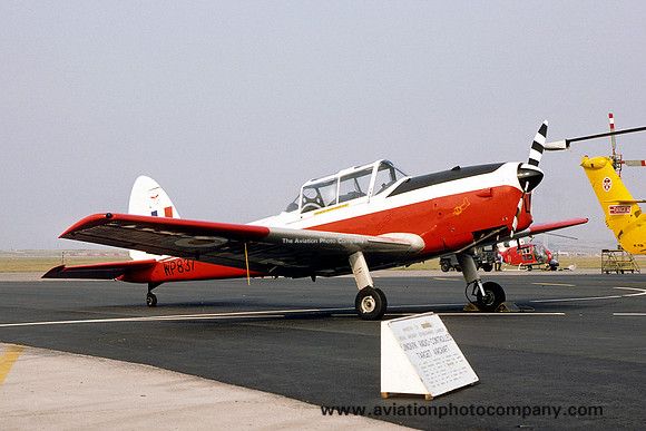 RAF 5 AEF DHC-1 Chipmunk T.10 WP837 at RAF Valley (13.08.1977)