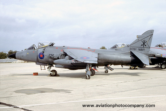 Royal Navy 800 Squadron Hawker Siddeley Sea Harrier FRS.1 ZA175/L125 (1983)