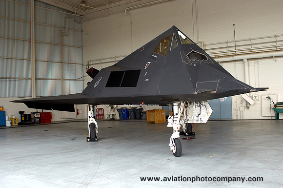 USAF 49 FW 9 FS Lockheed F-117A Nighthawk 85-0813/HO (2007)