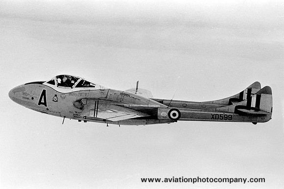 RAF CATCS De Havilland Vampire T.11 XD599/A Air to Air