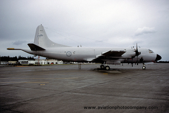 Royal Australian Air Force 10 Squadron Lockheed P-3C Orion A9-656 at the Fincastle Competition (1997)