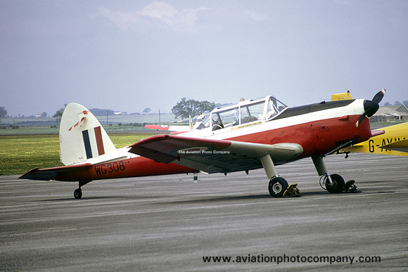 RAF 7 AEF DHC-1 Chipmunk T.10 WG308 (1974)