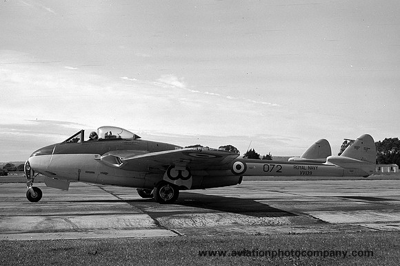 Royal Navy 703 Squadron De Havilland Sea Vampire F.20 VV139/072 (1953)