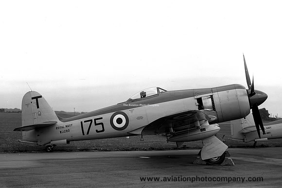 Royal Navy 802 Squadron Hawker Sea Fury FB.11 WJ280/T175 (1953)