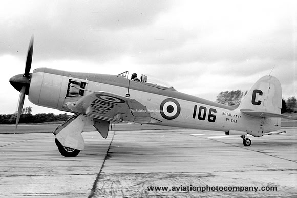 Royal Navy 810 Squadron Hawker Sea Fury FB.11 WE693/C106 (1954)