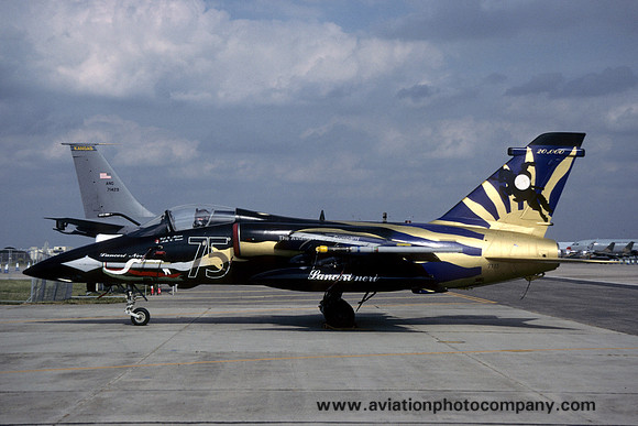 Italian Air Force Aeritalia AMX MM7115 at RIAT Fairford (2002)