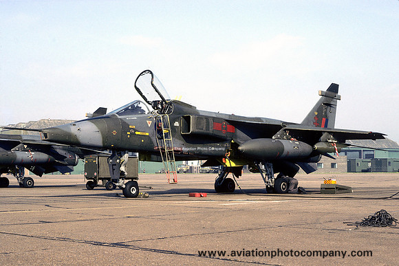 RAF 41 Squadron SEPECAT Jaguar GR.1 XZ118/F (1979)