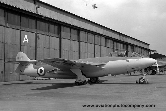 Royal Navy AWA Sea Hawk FB.3 WM907