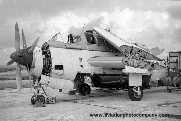 Royal Navy Fairey Gannet AS.1 WN391/334 stored at Culdrose (1967)