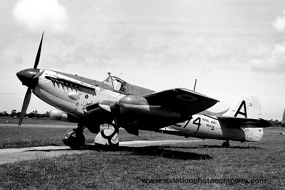 Royal Navy 826 Squadron Fairey Firefly AS.6 WB438/A274 (1953)