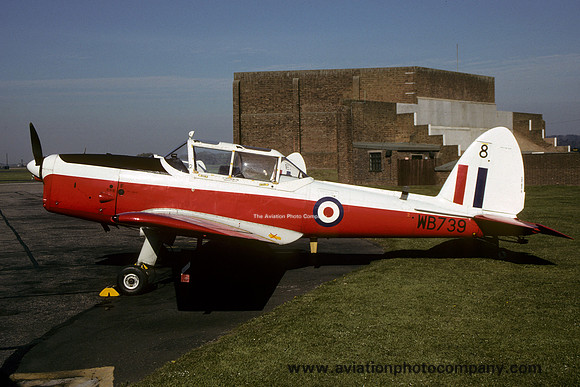 RAF 8 AEF DHC-1 Chipmunk T.10 WB739/8 (1990)