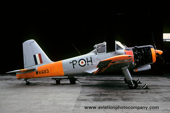RAF 6 FTS Percival Provost T.1 WV683 (1961)