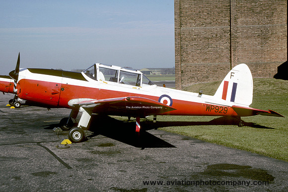 RAF 8 AEF DHC-1 Chipmunk T.10 WP929/F (1990)