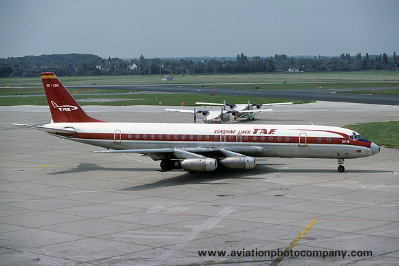 TAE Sunshine Liner Douglas DC-8-33 EC-CDC (1979)