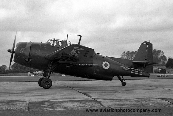 Royal Navy 815 Squadron Grumman Avenger AS.4 XB356/362 (1954)