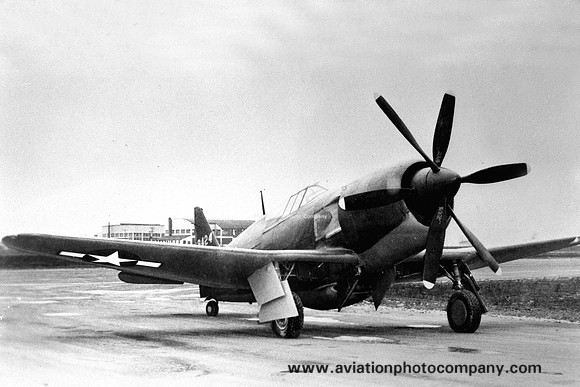 USAAF Curtiss XP-60D 42-79424
