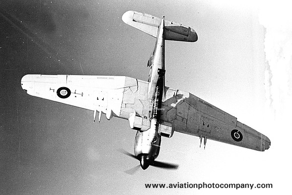 Royal Navy Blackburn Firebrand III Air to Air