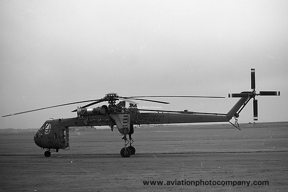 US Army 295 Avn Co Sikorsky CH-54A Tarhe 68-18448 (1970)