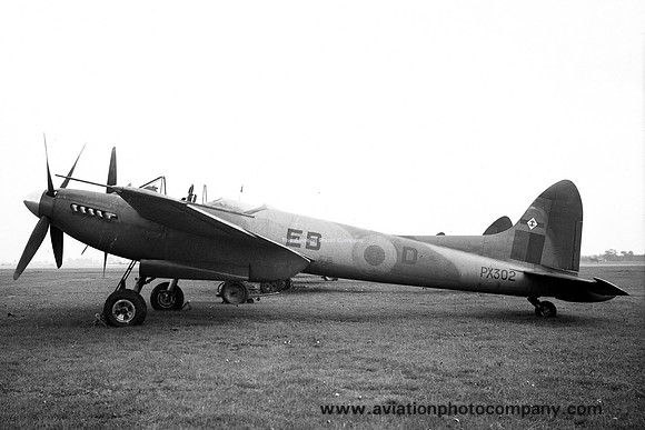 RAF 41 Squadron De Havilland Hornet F.3 PX302/EB-D
