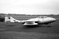 Royal Navy 736 Squadron De Havilland Sea Vampire T.22 XA166/LM603 (1956)