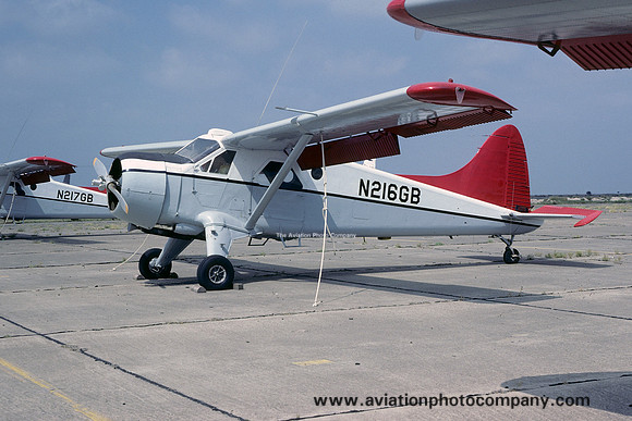 DHC-2 Beaver N216GB (1977)